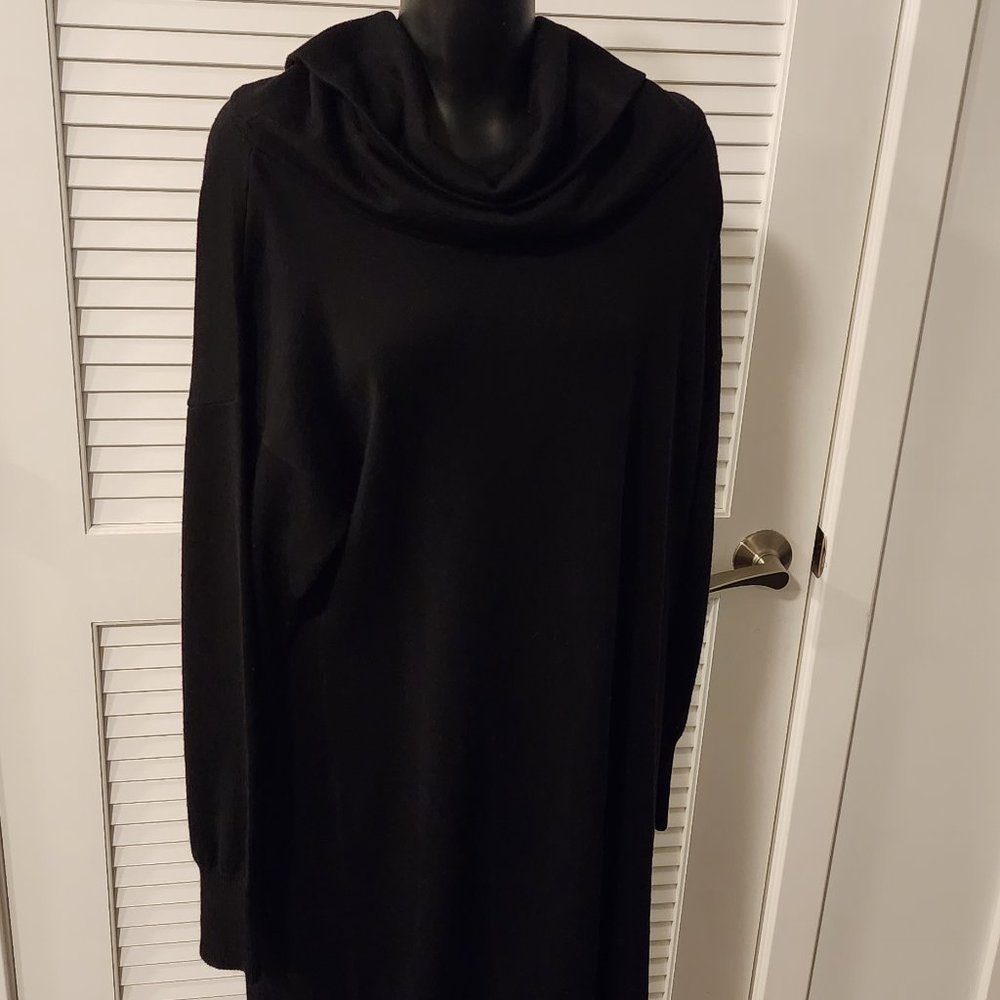 Ann Taylor merino wool turtleneck sweater dress